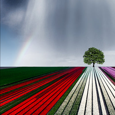 Rainbow Cloud