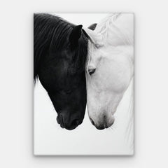 Oppositele Atract Canvas — Canvas Vertical #01