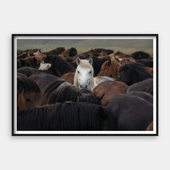 Născut pentru a ieși în evidență — Art Print Orizontal #01
