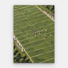 Miniature Football Canvas — Canvas Vertical #01