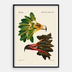 Chard Eagle — umělecký tisk Vertikální #01