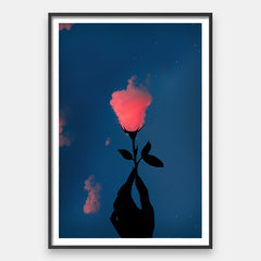Vaaleanpunainen Cloud Rose