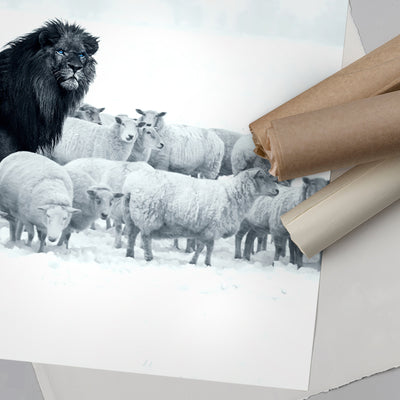 Lion Among Sheep